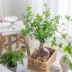 Cây mô phỏng phong cách Bắc Âu Chuông treo Nhật Bản, lá gỗ say, hoa giả, hoa khô, đồ trang trí trang trí cây xanh để bàn trong nhà bình hoa lựu giả hoa nhựa đẹp Cây hoa trang trí