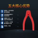 Цветочные моллюски, цветочные моллюски, моллюски, моллюски, моллюски, моллюски, моллюски из моллюсков кровя