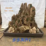 Водный камень бонсай бонсай бонсай бонсай с 75 до 85 см таунхауса с бассейном в бонсай