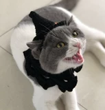 Шапка ручной работы, аксессуар для волос, чокер, черный фальшивый воротник, xэллоуин, наряжаться