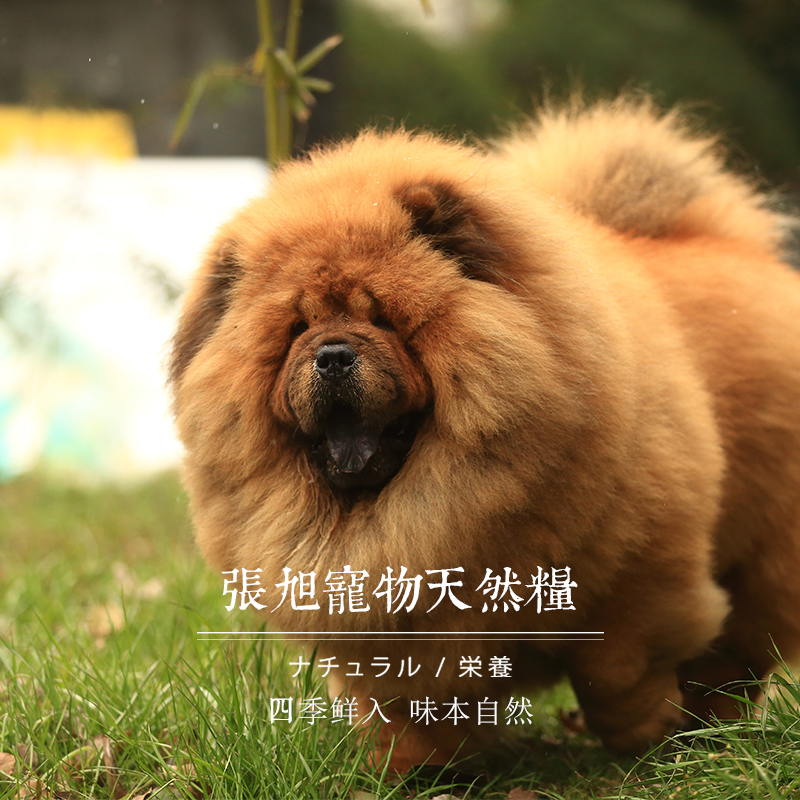 张旭宠物天然粮 大型犬通用型特惠装狗粮7.5kg 成犬主粮