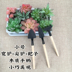 Dụng cụ làm vườn cung cấp nhỏ hộ gia đình nhỏ trồng hoa đa nhỏ trồng xẻng xúc xắc ba mảnh bốn mảnh bình xịt nước tưới cây Nguồn cung cấp vườn