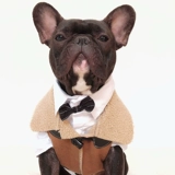 Боевая одежда осень и зимний бархатный жилет с ягненком Corgi Pug Dog Fat Dog