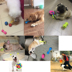 Con chó đồ chơi bóng sounding răng hàm cắn kháng Vàng tóc Samoyed Bago con chó chiến đấu Cat pet nguồn cung cấp làm đồ chơi cho chó Mèo / Chó Đồ chơi