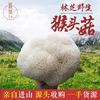 Тибетская дикая обезьяна гриб гриб Linzhi 2800 метров над уровнем моря Вирвребные леса, выбирающий желудочный гриб обезьяны 100 г бесплатная доставка
