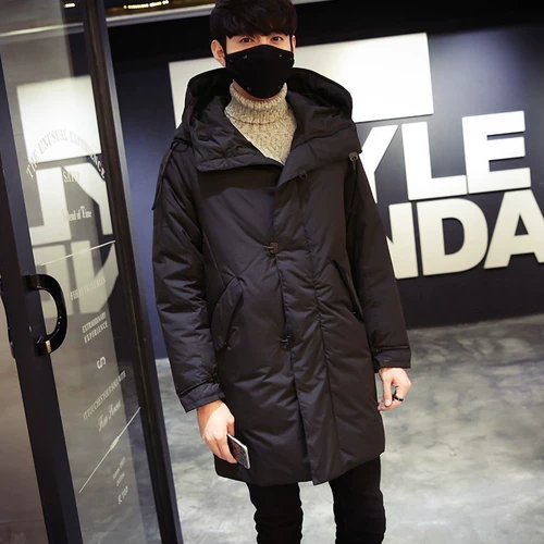 Пуховик, демисезонная куртка, 2021 года, в корейском стиле