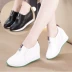 Mùa xuân và mùa thu mới Giày nữ nêm trắng Phiên bản Hàn Quốc tăng giày thể thao thoáng khí hoang dã Giày đế thấp để giúp giày đơn Giày cắt thấp