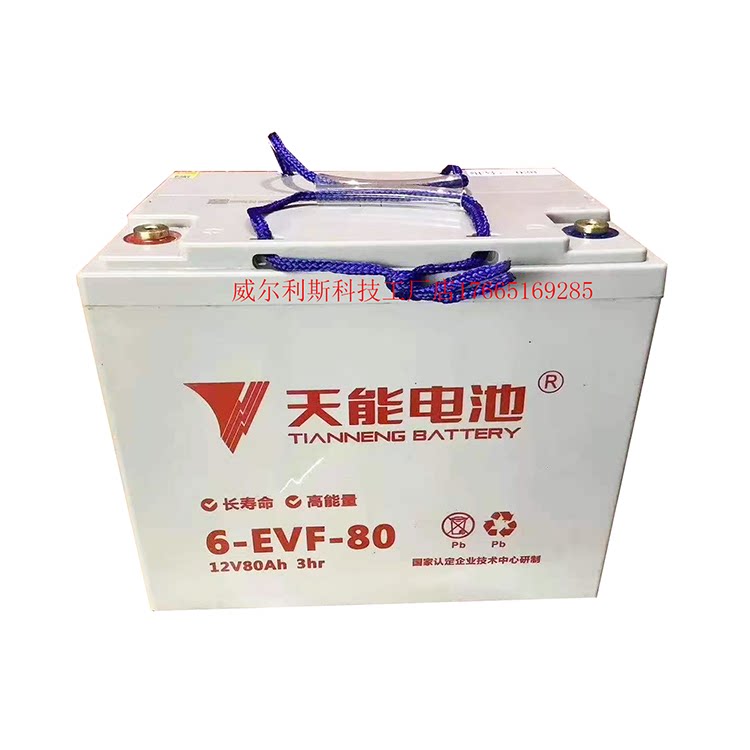 Tianneng 6-EVF-100\/80 12V100AH80AH electric forklift motor grader four-wheel electric vehicle battery