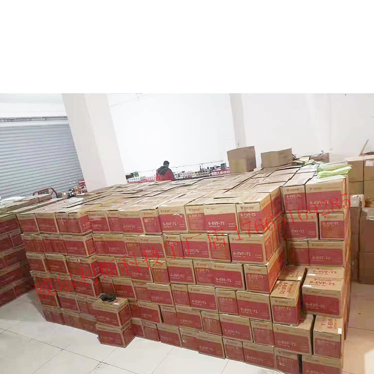 Tianneng 6-EVF-100\/80 12V100AH80AH electric forklift motor grader four-wheel electric vehicle battery