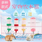 Бесплатная доставка чайника, питьевая вода для бутылки с водой, кролик хомяка, морская свинка, голландская свиная пилота для сосны, ударить в чайник и вымыть бутылку