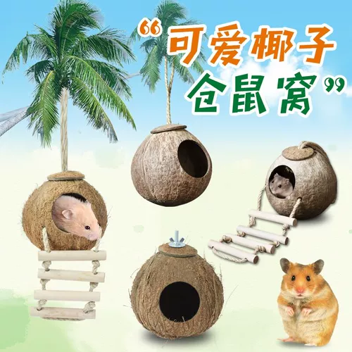 Новый продукт Hainan Style Hamster Цветочные ветви и золотой мышиный шелковый медведь спящие мыши с медовыми мешками 鼯 Squirrel Four Seasons Universal Coconut Shell спальня