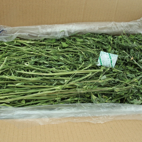 Бесплатная доставка сушеные фиолетовые цветы, кроличьи кролики, морская свинка тоторо