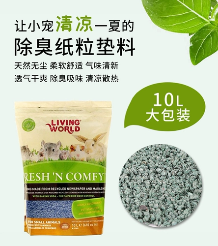 Бесплатная доставка в Великобритании B2N Deodorant Paper Rabbit Totoro Dolka Rat Vising Pets Pets Pets Reptimed Worm Worm Worm Worm Worm Worm Worm Worm Worm Worm Worm Reptus Pult Reptus