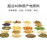 Бесплатная доставка эко -лесной лесной лесной лес