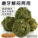 Купить пять получите один бесплатный один шарик Тимори, кролик, морская свинка, голландская свиная соседка Тоторо