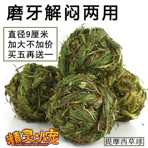 Купить пять получите один бесплатный один шарик Тимори, кролик, морская свинка, голландская свиная соседка Тоторо