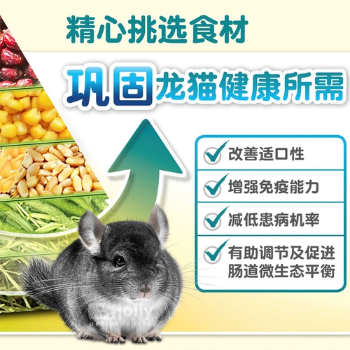 Бесплатная доставка Jolly Zuli Daivin