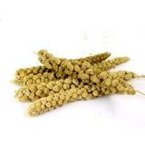 Huanggu Sui Золотое филе подвесные крысы Barcers Barrite Squirrel Snack Dutrition Feed 100g