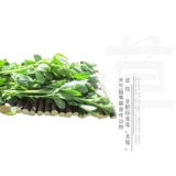 Бесплатная доставка в течение 25 лет сухой рожок