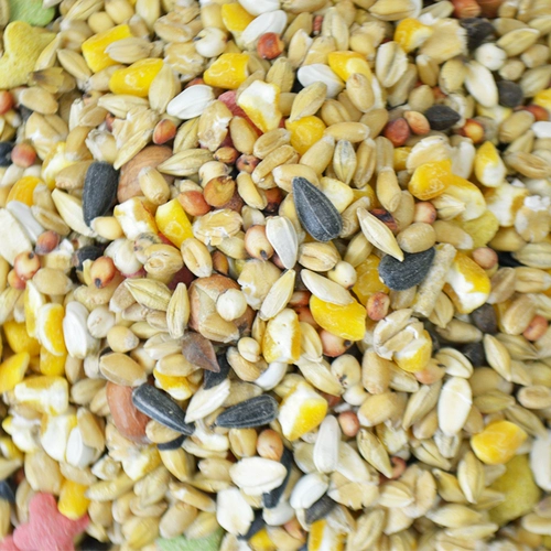 Бесплатная доставка, чтобы купить три пакета, чтобы получить мешок с хомяком, полное зерно зерно, золотое шелковое медведь главное зерно, мышь, зерновой подача 500G