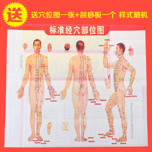 Weiyang Home Cubping Device 6 Cans Cwert -Thicker Cupping Magnetic Therapy Вращая газ Canaccios