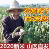 2023 New Mi Shanxi Xiaomi Qinzhou Huang Xiaomi 5 фунтов