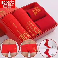 Đậu đỏ nam lớn màu đỏ sinh năm kết hôn rắn màu cotton boxer tóm tắt hộp quà tặng đồ lót màu đỏ cộng với chất béo kích thước lớn quần lót nữ sinh