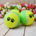 Pet dog toy laser bút vui cat stick dog đào tạo cắn bóng phần đôi dog cắn rope vui vẻ nguồn cung cấp đồ chơi banh đồ chơi cho chó Mèo / Chó Đồ chơi