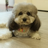 Нагрудник, шарф, аксессуар, слюнявчик