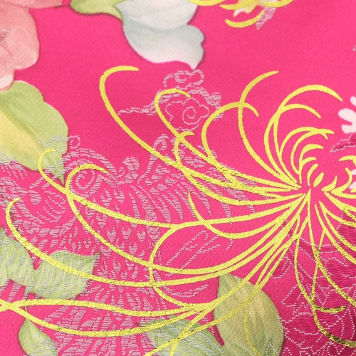 Собака Новый год Одежда осень и зима плюс флисовые домашние животные поставляют женский жилет для женского костюма, вышитая одежда для щенка