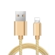 Apple Nylon Data Cable- 【Локальное золото тирана】
