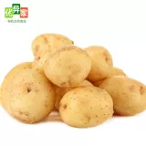 Новая картофельная картофель свежие сельскохозяйственные продукты Фермерские картофельные кампания по приправе