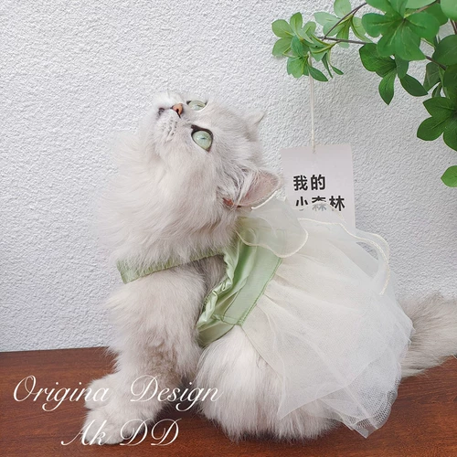 AKDD PET CAT DOGS DOG