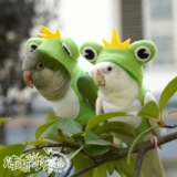 Чистый домашний попугай птица Xuanfeng осенью и зимняя густая теплая одежда Летающая одежда толстовка толстовка капюшона.