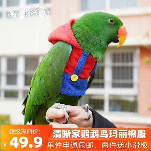 Чистая попугая птица одежда теплой одежда Сюанфенг переправляется хлопковое соревновательное соревновательное факультет