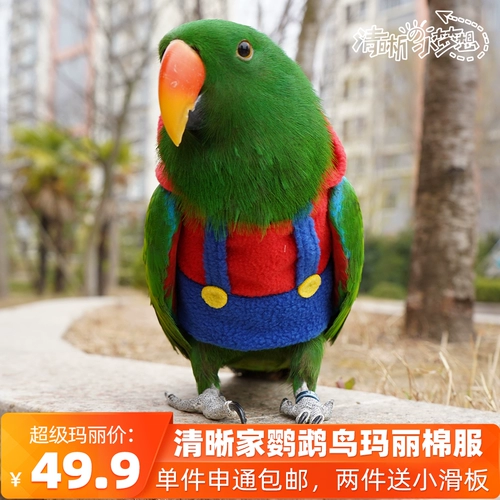 Чистая попугая птица одежда теплой одежда Сюанфенг переправляется хлопковое соревновательное соревновательное факультет