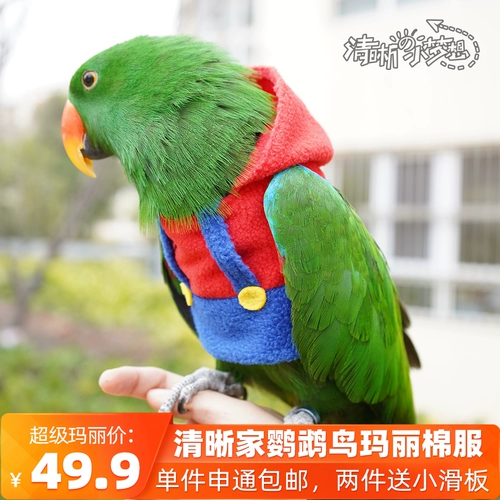 Чистая попугая птица одежда теплой одежда Сюанфенг переправляется хлопковое соревновательное соревновательное факультет