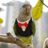 Чистая домашняя птица одежда попугай домашние животные весна и осенняя куртка маленькие платья.