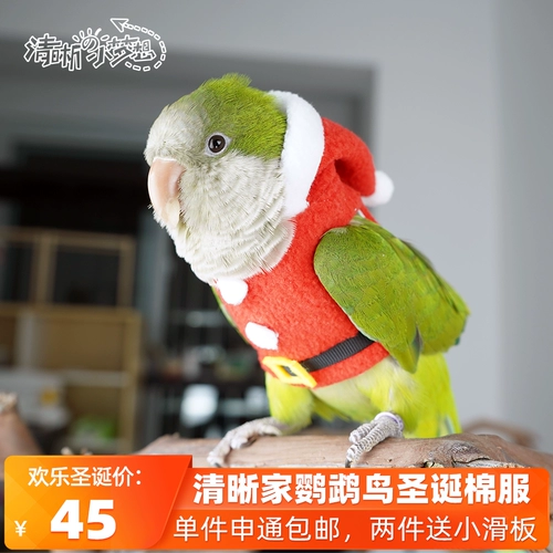 Прозрачные попугаи птицы осень и зима Hermore теплой одежда сервер, настраиваемая по всему рождественскому серверу, бесплатная доставка