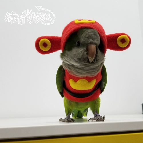 Ясная маленькая мечта Оригинальная птица попугая, одежда со шляпой, свитер, густая теплая одежда, летающая служба, богатство Бога Новогоднего платья