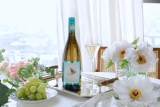 Итальянская знаменитая деревня!Деревня Rhino Little Bird Sweet Moscato d'assti публично