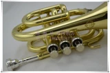 Палм инструмент/карманная труба/номер пальмы карманная труба Небольшой инструмент/краска Золотая ладонь.