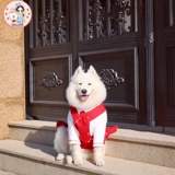 Кукла, милое демисезонное платье, удерживающая тепло юбка, домашний питомец, подходит для подростков