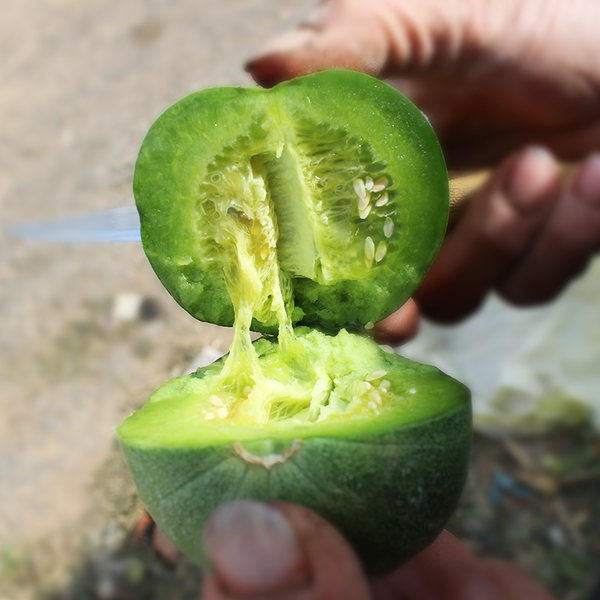 密云本地 头茬自然成熟清香甜瓜 3斤 淘宝优惠券折后￥22.9包邮（￥42.9-20）