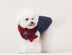 Dog khăn bib vật nuôi cung cấp đồ trang sức quần áo Teddy luật schnauzer - Quần áo & phụ kiện thú cưng quan ao cho meo Quần áo & phụ kiện thú cưng