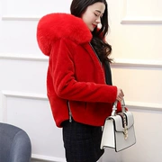 Lông một 2018 mới mùa thu và mùa đông cừu cắt fur coat Hàn Quốc nữ đoạn ngắn giả con cáo lông trùm đầu coat