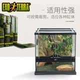 Канада рептилия из Gijin Moisen Pad Rainforest Carpet, земельная черепаха ландшафтная ландшафтная змея -ящеричная ящерица