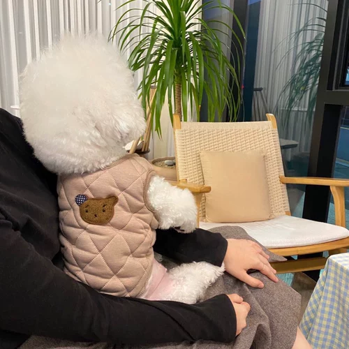 Утолщенная домашняя хлопчатобумажная куртка в зимней плюшевой плюше