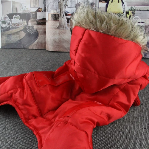 Одежда для домашних животных Утолщенное хлопковое пальто осень и зимняя одежда Bichin Chihuahua Puppy Dog Одежда