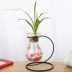 Sáng tạo treo lục bình bình thủy khung hoa rèn sắt xanh nước cây thủy tinh container trang trí trang trí - Vase / Bồn hoa & Kệ
